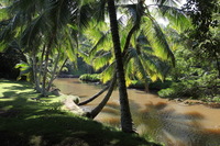 Canon EOS 5D Mark II, 2014:01:04 10:41:07 -- 1/60 sec, f/7.1.  No Flash, Compulsory.5616x3744 Off.