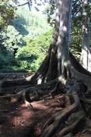 Canon EOS 5D Mark II, 2014:01:04 10:41:46 -- 1/60 sec, f/4.0.  No Flash, Compulsory.5616x3744 Off.