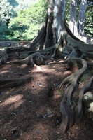 Canon EOS 5D Mark II, 2014:01:04 10:43:14 -- 1/60 sec, f/4.5.  No Flash, Compulsory.5616x3744 Off.