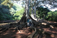 Canon EOS 5D Mark II, 2014:01:04 10:43:58 -- 1/60 sec, f/4.0.  No Flash, Compulsory.5616x3744 Off.