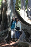 Canon EOS 5D Mark II, 2014:01:04 10:44:05 -- 1/60 sec, f/4.5.  No Flash, Compulsory.5616x3744 Off.