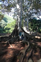 Canon EOS 5D Mark II, 2014:01:04 10:44:08 -- 1/60 sec, f/4.5.  No Flash, Compulsory.5616x3744 Off.