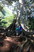 Canon EOS 5D Mark II, 2014:01:04 10:44:55 -- 1/60 sec, f/4.5.  No Flash, Compulsory.5616x3744 Off.