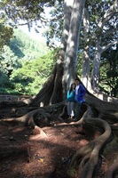 Canon EOS 5D Mark II, 2014:01:04 10:44:58 -- 1/60 sec, f/4.0.  No Flash, Compulsory.5616x3744 Off.