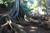 Canon EOS 5D Mark II, 2014:01:04 10:45:28 -- 1/60 sec, f/4.0.  No Flash, Compulsory.5616x3744 Off.