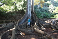 Canon EOS 5D Mark II, 2014:01:04 10:45:43 -- 1/60 sec, f/4.0.  No Flash, Compulsory.5616x3744 Off.