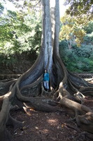 Canon EOS 5D Mark II, 2014:01:04 10:45:47 -- 1/60 sec, f/4.0.  No Flash, Compulsory.5616x3744 Off.