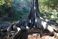 Canon EOS 5D Mark II, 2014:01:04 10:48:20 -- 1/60 sec, f/4.0.  No Flash, Compulsory.5616x3744 Off.