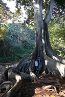 Canon EOS 5D Mark II, 2014:01:04 10:48:30 -- 1/60 sec, f/4.0.  No Flash, Compulsory.5616x3744 Off.