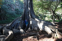 Canon EOS 5D Mark II, 2014:01:04 10:48:51 -- 1/60 sec, f/4.0.  No Flash, Compulsory.5616x3744 Off.