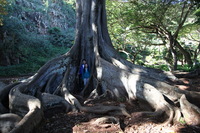 Canon EOS 5D Mark II, 2014:01:04 10:48:51 -- 1/60 sec, f/4.0.  No Flash, Compulsory.5616x3744 Off.