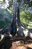 Canon EOS 5D Mark II, 2014:01:04 10:48:59 -- 1/60 sec, f/4.0.  No Flash, Compulsory.5616x3744 Off.