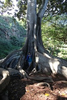 Canon EOS 5D Mark II, 2014:01:04 10:48:59 -- 1/60 sec, f/4.0.  No Flash, Compulsory.5616x3744 Off.