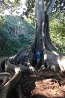 Canon EOS 5D Mark II, 2014:01:04 10:49:10 -- 1/60 sec, f/4.0.  No Flash, Compulsory.5616x3744 Off.