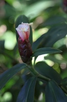 Canon EOS 5D Mark II, 2014:01:04 11:07:46 -- 1/60 sec, f/4.0.  No Flash, Compulsory.5616x3744 Off.