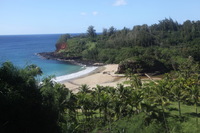 Canon EOS 5D Mark II, 2014:01:04 11:20:58 -- 1/60 sec, f/9.0.  No Flash, Compulsory.5616x3744 Off.