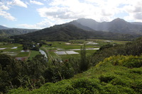 Canon EOS 5D Mark II, 2014:01:05 14:17:10 -- 1/80 sec, f/14.0.  No Flash, Compulsory.5616x3744 Off.