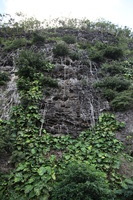 Canon EOS 5D Mark II, 2014:01:05 15:57:58 -- 1/80 sec, f/4.5.  No Flash, Compulsory.5616x3744 Off.