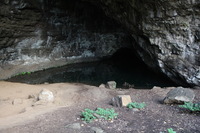 Canon EOS 5D Mark II, 2014:01:05 16:48:46 -- 1/30 sec, f/4.0.  No Flash, Compulsory.5616x3744 Off.