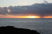 Canon EOS 5D Mark II, 2014:01:05 07:26:09 -- 1/125 sec, f/11.0.  No Flash, Compulsory.5616x3744 Off.