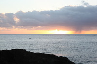 Canon EOS 5D Mark II, 2014:01:05 07:26:09 -- 1/60 sec, f/11.0.  No Flash, Compulsory.5616x3744 Off.