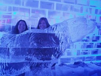 Galaxy Nexus, 2014:05:07 21:25:44 -- 29997/500000 sec, f/2.8.  No Flash, Compulsory.2592x1944 0.