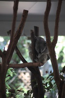 Canon EOS 5D Mark II, 2014:07:09 11:37:05 -- 1/60 sec, f/6.3.  No Flash, Compulsory.5616x3744 Off.