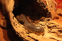Canon EOS 5D Mark II, 2014:07:09 15:49:43 -- 1/50 sec, f/4.0.  No Flash, Compulsory.5616x3744 Off.