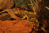 Canon EOS 5D Mark II, 2014:07:09 15:51:27 -- 1/50 sec, f/4.0.  No Flash, Compulsory.5616x3744 Off.