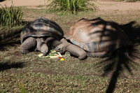 Canon EOS 5D Mark II, 2014:07:11 10:04:56 -- 1/60 sec, f/18.0.  No Flash, Compulsory.5616x3744 Off.