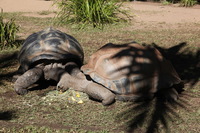Canon EOS 5D Mark II, 2014:07:11 10:08:13 -- 1/60 sec, f/16.0.  No Flash, Compulsory.5616x3744 Off.