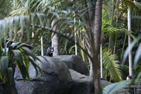 Canon EOS 5D Mark II, 2014:07:11 16:20:51 -- 1/60 sec, f/4.0.  No Flash, Compulsory.5616x3744 Off.