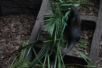 Canon EOS 5D Mark II, 2014:07:11 16:48:53 -- 1/50 sec, f/4.0.  No Flash, Compulsory.5616x3744 Off.