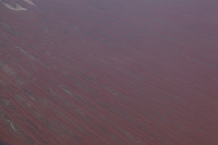 Canon EOS 5D Mark II, 2014:07:12 10:48:26 -- 1/80 sec, f/22.0.  No Flash, Compulsory.5616x3744 Off.