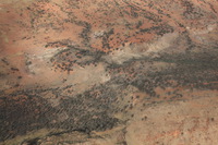 Canon EOS 5D Mark II, 2014:07:12 11:34:54 -- 1/80 sec, f/14.0.  No Flash, Compulsory.5616x3744 Off.