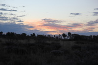 Canon EOS 5D Mark II, 2014:07:12 18:48:31 -- 1/60 sec, f/4.5.  No Flash, Compulsory.5616x3744 Off.