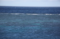 Canon EOS 5D Mark II, 2014:07:17 08:38:29 -- 1/125 sec, f/8.0.  No Flash, Compulsory.5616x3744 Off.