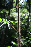 Canon EOS 5D Mark II, 2014:07:18 11:14:50 -- 1/50 sec, f/6.3.  No Flash, Compulsory.5616x3744 Off.