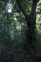 Canon EOS 5D Mark II, 2014:07:18 16:45:32 -- 1/60 sec, f/4.5.  No Flash, Compulsory.5616x3744 Off.