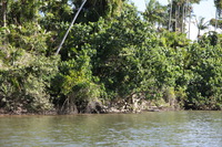 Canon EOS 5D Mark II, 2014:07:19 14:15:29 -- 1/125 sec, f/6.3.  No Flash, Compulsory.5616x3744 Off.