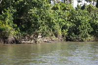 Canon EOS 5D Mark II, 2014:07:19 14:15:36 -- 1/125 sec, f/7.1.  No Flash, Compulsory.5616x3744 Off.