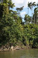 Canon EOS 5D Mark II, 2014:07:19 14:15:41 -- 1/125 sec, f/9.0.  No Flash, Compulsory.5616x3744 Off.