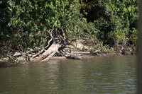 Canon EOS 5D Mark II, 2014:07:19 14:15:53 -- 1/125 sec, f/9.0.  No Flash, Compulsory.5616x3744 Off.