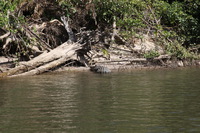 Canon EOS 5D Mark II, 2014:07:19 14:16:05 -- 1/100 sec, f/10.0.  No Flash, Compulsory.5616x3744 Off.