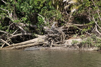 Canon EOS 5D Mark II, 2014:07:19 14:16:44 -- 1/100 sec, f/11.0.  No Flash, Compulsory.5616x3744 Off.