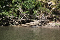 Canon EOS 5D Mark II, 2014:07:19 14:17:26 -- 1/100 sec, f/10.0.  No Flash, Compulsory.5616x3744 Off.