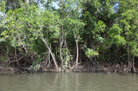 Canon EOS 5D Mark II, 2014:07:19 14:24:25 -- 1/100 sec, f/5.6.  No Flash, Compulsory.5616x3744 Off.