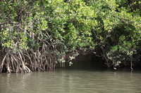 Canon EOS 5D Mark II, 2014:07:19 14:24:39 -- 1/100 sec, f/5.6.  No Flash, Compulsory.5616x3744 Off.