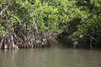 Canon EOS 5D Mark II, 2014:07:19 14:24:44 -- 1/100 sec, f/5.6.  No Flash, Compulsory.5616x3744 Off.