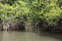 Canon EOS 5D Mark II, 2014:07:19 14:24:49 -- 1/100 sec, f/5.6.  No Flash, Compulsory.5616x3744 Off.